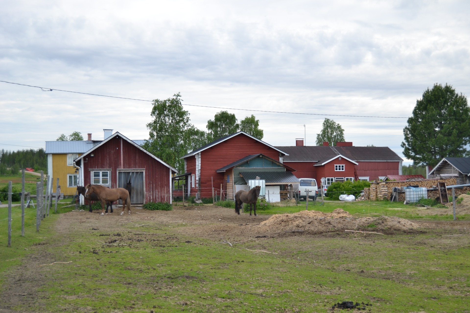 Pihapiirimme vanhoissa rakennuksissa riittää töitä.